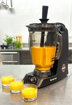 HALLDE SB-4 Commercial Blender 4 L