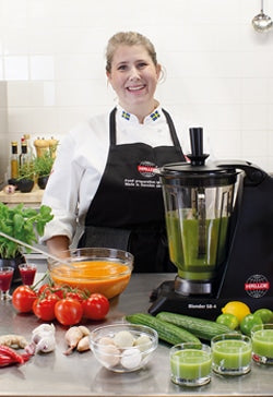 HALLDE SB-4 Commercial Blender 4 L